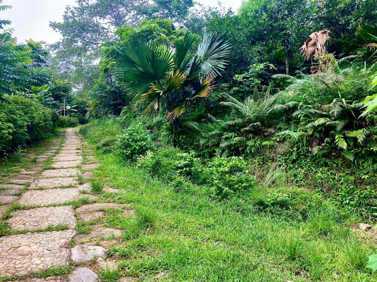 Tvpalm Ecolodge Ha Giang Exterior photo