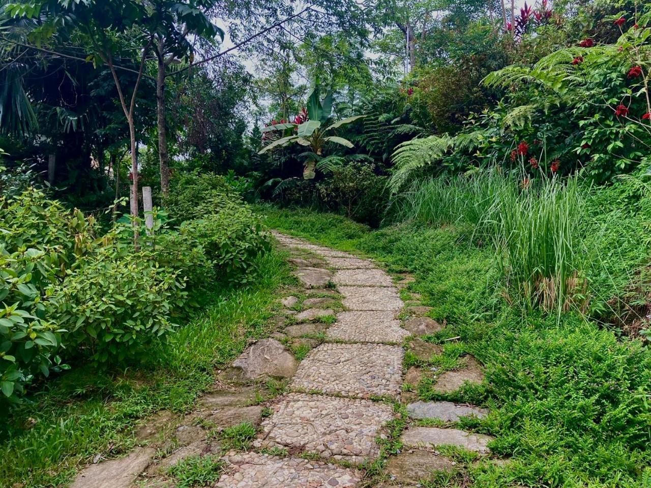 Tvpalm Ecolodge Ha Giang Exterior photo